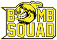 8UBombSquad